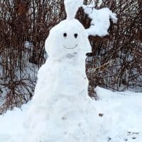 Весëлый снеговик