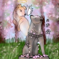 Хатико: самый верный друг🍣