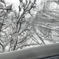 Вид из окна ❄️