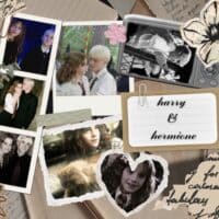 ₊˚⊹ᰔ драмиона//harry potter ₊˚⊹ᰔ