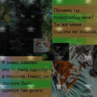 ~Листопад и Остролистая || Коты Воители 🤍🌿