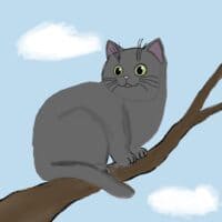 серая звезда(graystar), коты-воители, предводительница племени Теней