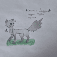 ~Совиная Звезда || Предводительница Грозового Племени || Коты-Воители