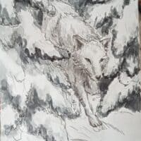 Рейн; Хроники Нарнии; Волк, сражавшийся против Джадис, погиб в битве