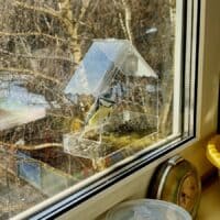 Воздушная птичка, на окне у меня, на мгновенье присела и запела звеня – Бальмонт