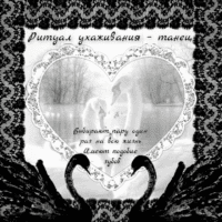 ♡₊˚. 𝓦𝓱𝓲𝓽𝓮 𝓼𝔀𝓪𝓷 – белый лебедь 🦢