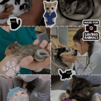 ~ⲃᥱⲧᥱρυⲏᥲρ🐾