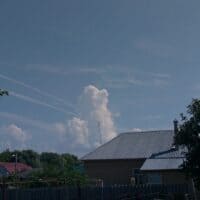 Щеночек 🫰