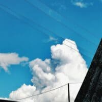 То ли старушка с пышными волосами, то ли пудель, выглядывающий из-за крыши ❤