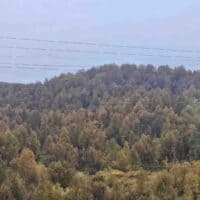 Мурманская осень