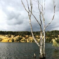 — И умирает осенью природа, но... как она красиво умирает! 🍂.°꩜ 