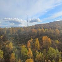 Мурманск, осень, сорка так красива... 