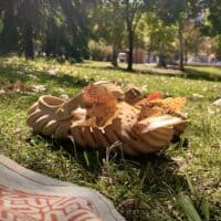 Лето упорно сопротивляется осени, поэтому выкручиваемся как можем)) Листочки 🍂