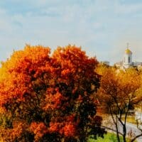 .𖥔 ݁ ˖ autumn trees surrounding our church
