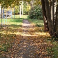 Апхпхпхахахпх, кто найдет тут валяющуюся упаковку Скитлс?