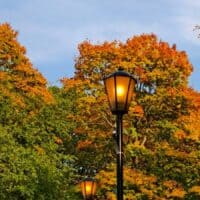 Краски осени 🍁