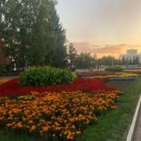 ~ Осенние цветы в парке 🌺🍁