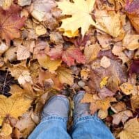 ᥲᥙtᥙⲙᥒ 🍂